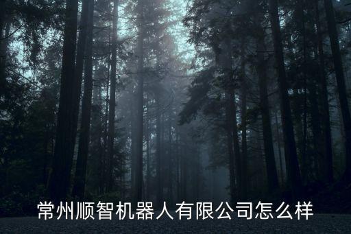 常州順智機(jī)器人有限公司怎么樣