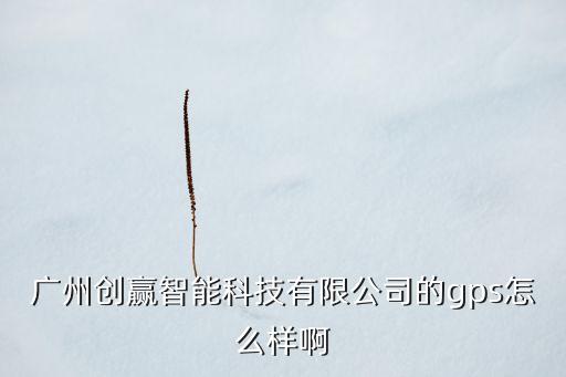 廣州創(chuàng)贏智能科技有限公司的gps怎么樣啊