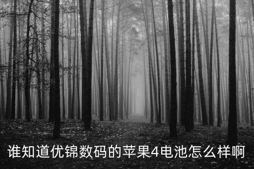 誰知道優(yōu)錦數(shù)碼的蘋果4電池怎么樣啊