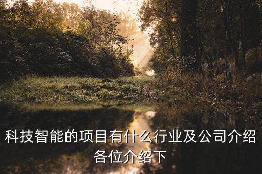 科技智能的項(xiàng)目有什么行業(yè)及公司介紹各位介紹下