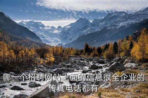 哪一個(gè)招聘網(wǎng)站上面的信息很全企業(yè)的傳真電話都有