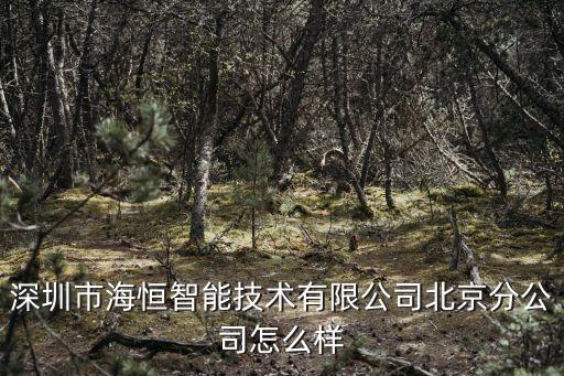 深圳市海恒智能技術(shù)有限公司北京分公司怎么樣