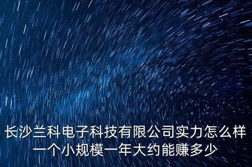 長沙蘭科電子科技有限公司實(shí)力怎么樣一個小規(guī)模一年大約能賺多少