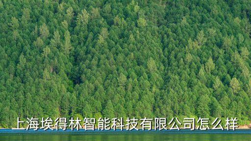 上海埃得林智能科技有限公司怎么樣