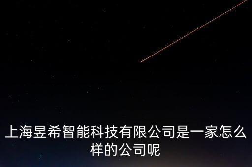 上海昱希智能科技有限公司是一家怎么樣的公司呢