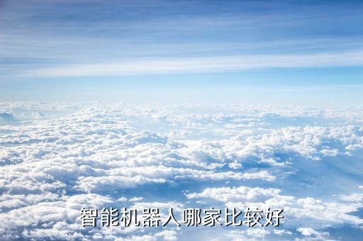 智能機器人哪家比較好