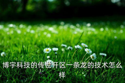 博宇科技的傳世開區(qū)一條龍的技術怎么樣