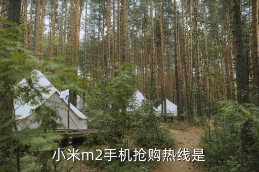 九驤智能科技招聘電話多少，小米m2手機(jī)搶購(gòu)熱線是
