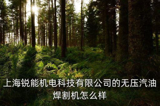 銳海智能科技怎么樣，上海銳能機(jī)電科技有限公司的無壓汽油焊割機(jī)怎么樣