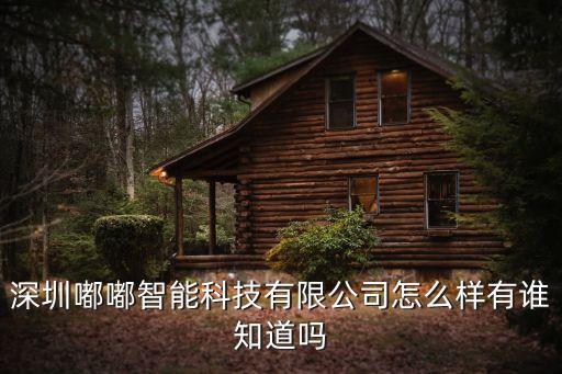 叮叮智能科技公司怎么樣，深圳嘟嘟智能科技有限公司怎么樣有誰(shuí)知道嗎