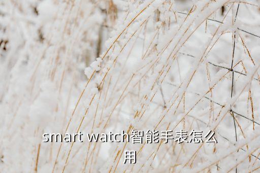 smart watch智能手表怎么用