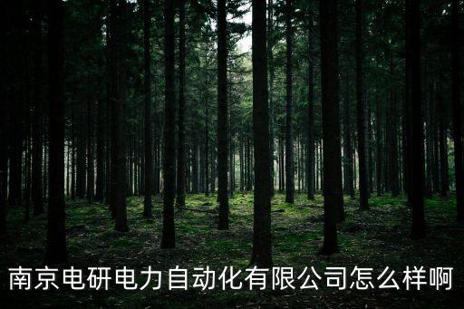 南京電研電力自動(dòng)化有限公司怎么樣啊