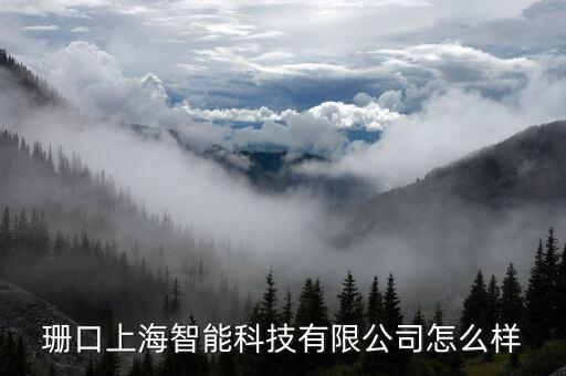 珊口上海智能科技有限公司怎么樣