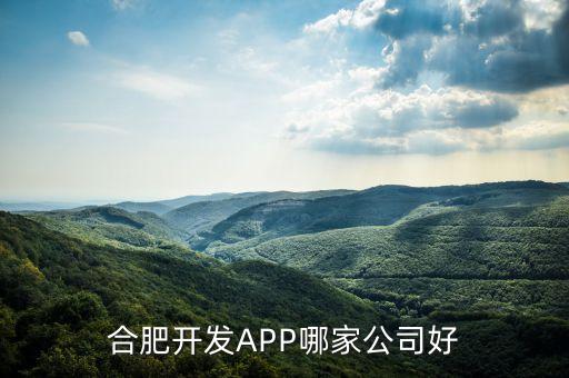 合肥開發(fā)APP哪家公司好