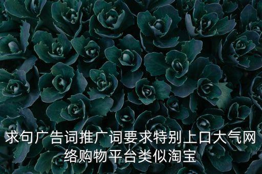 智能消費(fèi)科技宣傳語有哪些，求句廣告詞推廣詞要求特別上口大氣網(wǎng)絡(luò)購物平臺(tái)類似淘寶