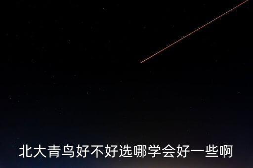 北大青鳥(niǎo)好不好選哪學(xué)會(huì)好一些啊