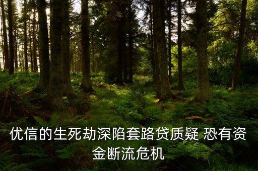 優(yōu)信的生死劫深陷套路貸質(zhì)疑 恐有資金斷流危機(jī)