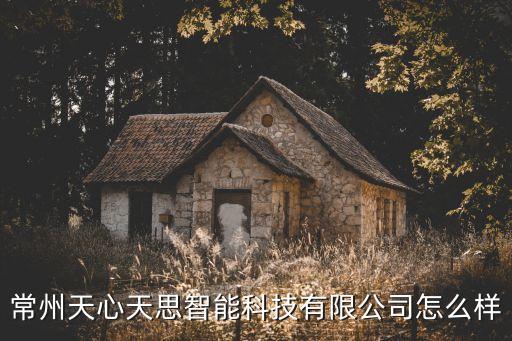 常州天心天思智能科技有限公司怎么樣