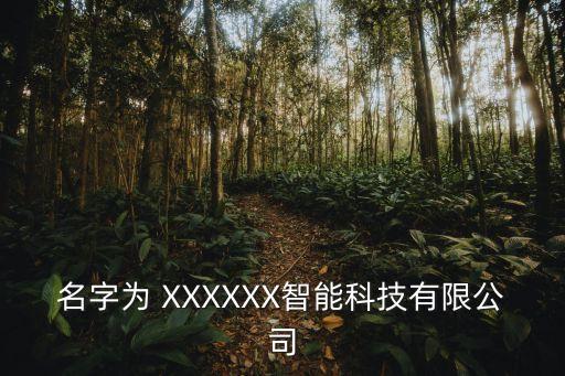 名字為 XXXXXX智能科技有限公司