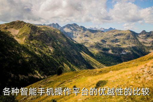 各種智能手機(jī)操作平臺(tái)的優(yōu)越性的比較