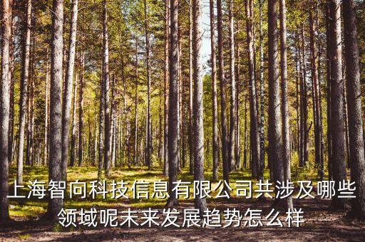 上海智向科技信息有限公司共涉及哪些領(lǐng)域呢未來發(fā)展趨勢(shì)怎么樣