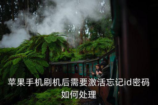 蘋果手機(jī)刷機(jī)后需要激活忘記id密碼如何處理