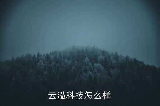 云伽智能科技怎么樣，云哨智能公司怎么樣
