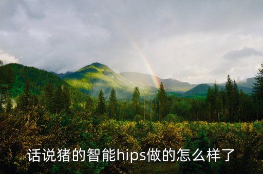 話說(shuō)豬的智能hips做的怎么樣了