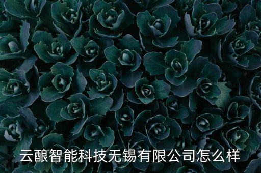 云釀智能科技無錫有限公司怎么樣