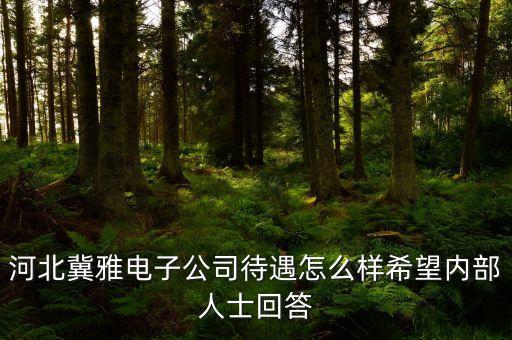 河北冀雅電子公司待遇怎么樣希望內(nèi)部人士回答