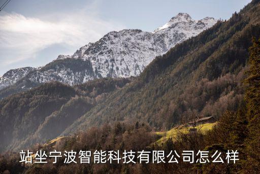 站坐寧波智能科技有限公司怎么樣