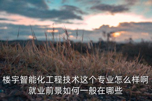 樓宇智能化工程技術(shù)這個專業(yè)怎么樣啊就業(yè)前景如何一般在哪些