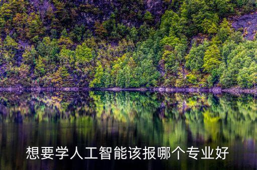 想要學(xué)人工智能該報哪個專業(yè)好