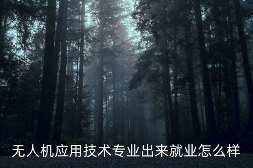 無人機應(yīng)用技術(shù)專業(yè)出來就業(yè)怎么樣
