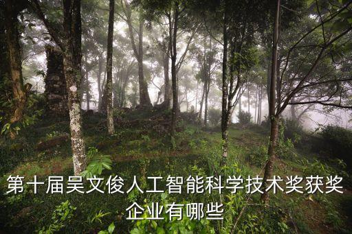 芯邁智能科技母公司有哪些，智芯科技智芯數(shù)據(jù)智能表芯這三家公司有聯(lián)系嗎