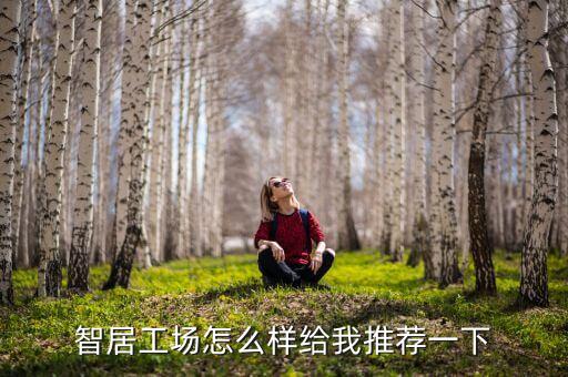 智居工場(chǎng)怎么樣給我推薦一下