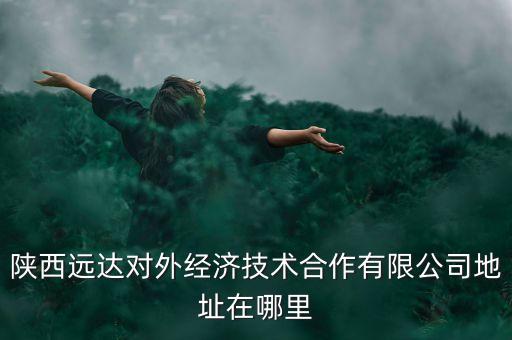 陜西遠達智能科技怎么樣，陜西遠達對外經(jīng)濟技術(shù)合作有限公司地址在哪里