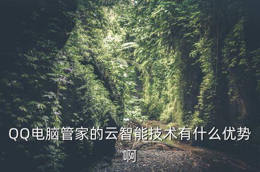 QQ電腦管家的云智能技術(shù)有什么優(yōu)勢啊