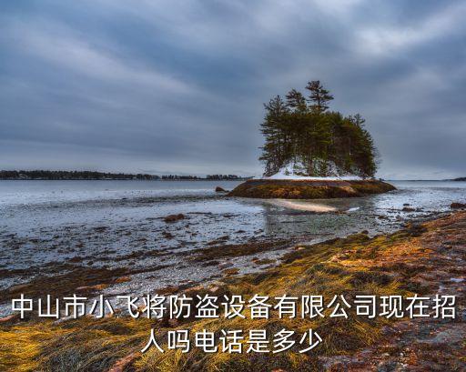 摩弗智能科技招聘電話是多少，智聯(lián)招聘咨詢電話是多少