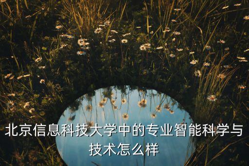 北京信息科技大學(xué)中的專業(yè)智能科學(xué)與技術(shù)怎么樣