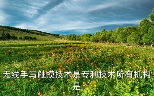 無(wú)線手寫觸摸技術(shù)是專利技術(shù)所有機(jī)構(gòu)是