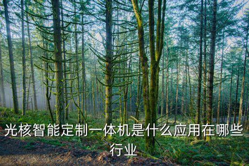光奕智能科技是做什么的，光寶智能科技有限公司是做什么的