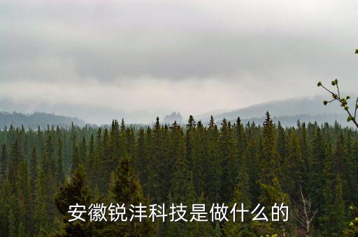 安徽銳灃科技是做什么的