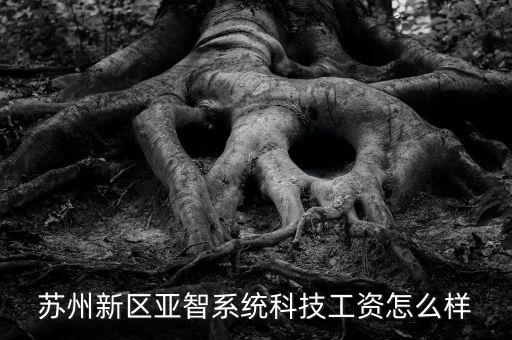 蘇州新區(qū)亞智系統(tǒng)科技工資怎么樣