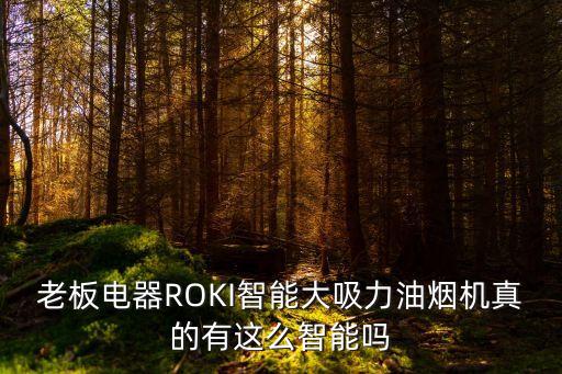 老板電器ROKI智能大吸力油煙機(jī)真的有這么智能嗎