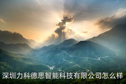深圳力科德思智能科技有限公司怎么樣