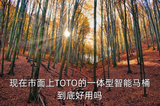 科技智能折疊馬桶怎么樣，toto智能馬桶好不好