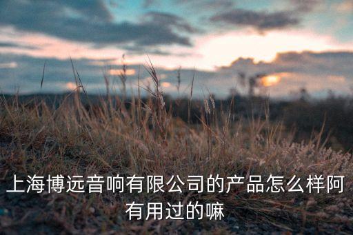 上海博遠(yuǎn)音響有限公司的產(chǎn)品怎么樣阿有用過的嘛