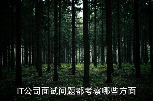 IT公司面試問題都考察哪些方面