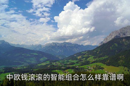 中歐錢滾滾的智能組合怎么樣靠譜啊